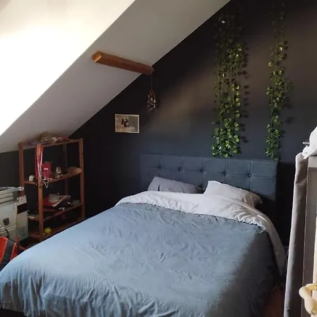 Maison * Le Mans